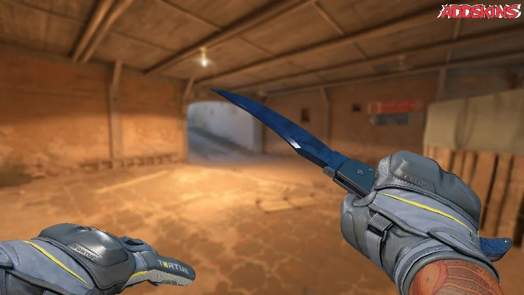 ★ Falchion Knife | Blue Steel holding
