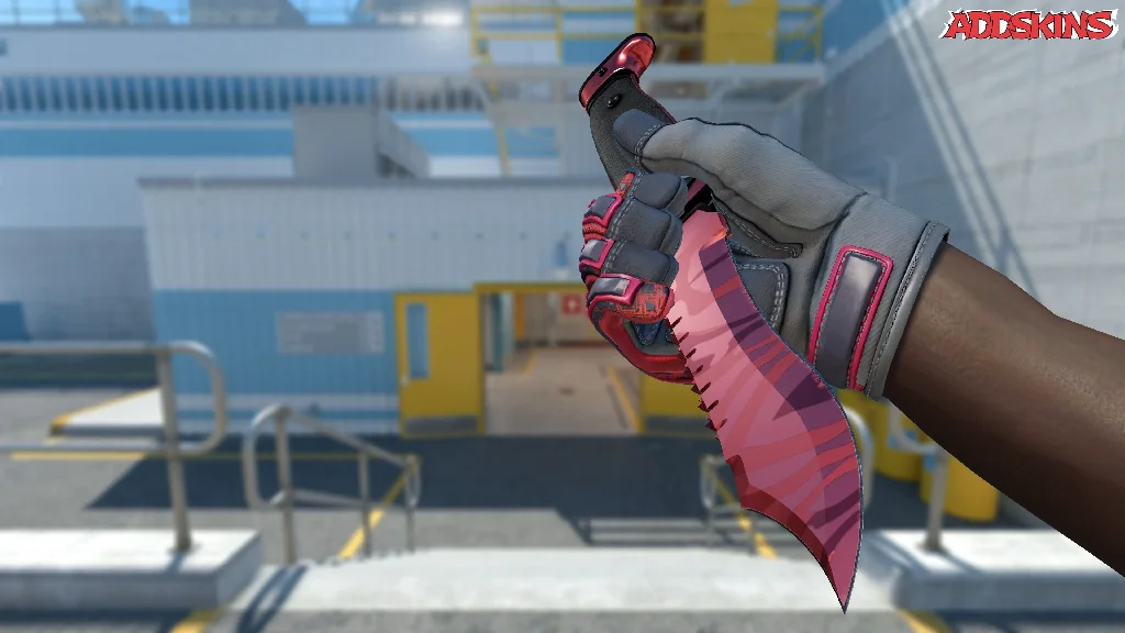 ★ Bowie Knife | Slaughter inspecting