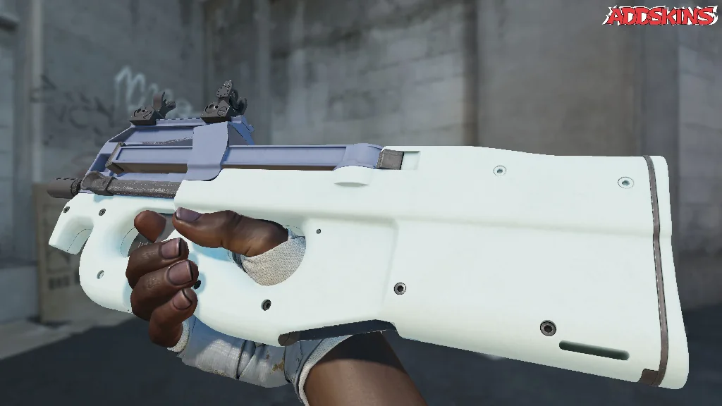 P90 | Storm inspecting
