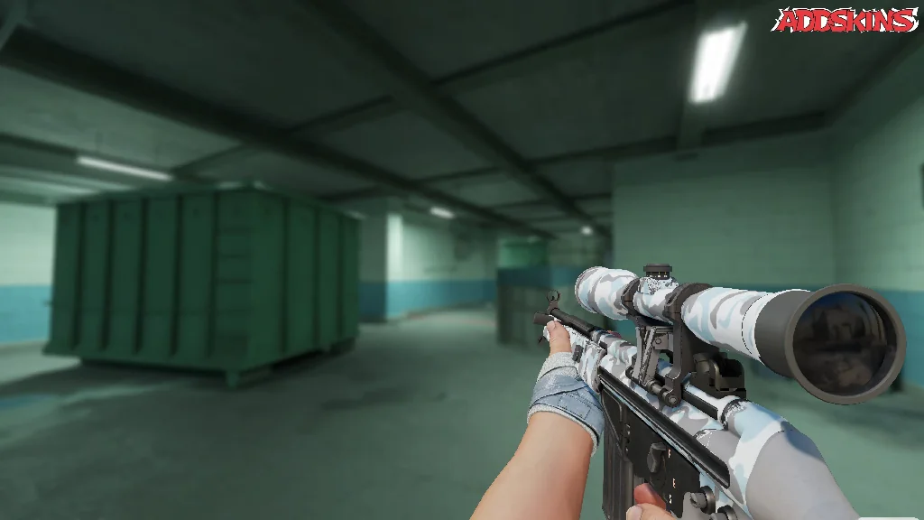 G3SG1 | Arctic Camo holding