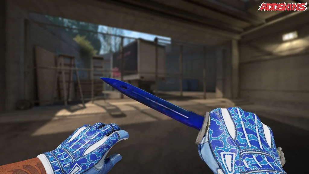 ★ Bayonet | Doppler Phase 4 holding