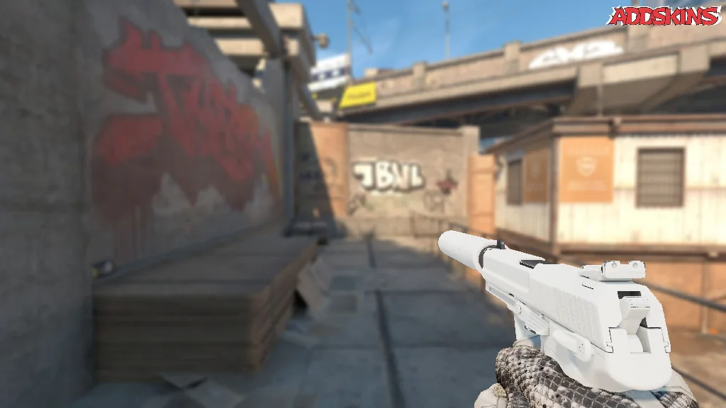 USP-S | Whiteout holding