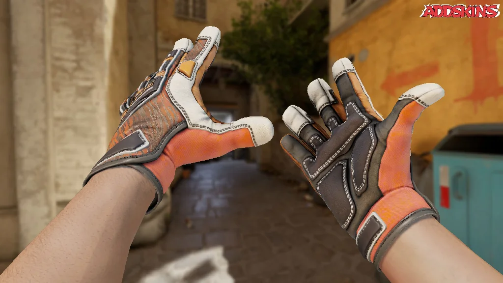 ★ Specialist Gloves | Tiger Strike inspecting