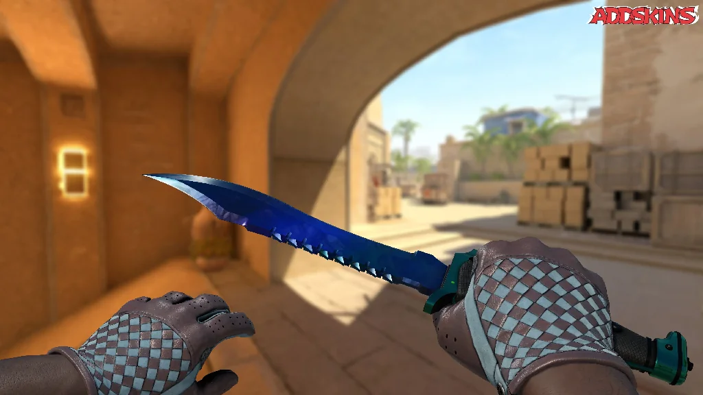 ★ Bowie Knife | Doppler Phase 3 holding