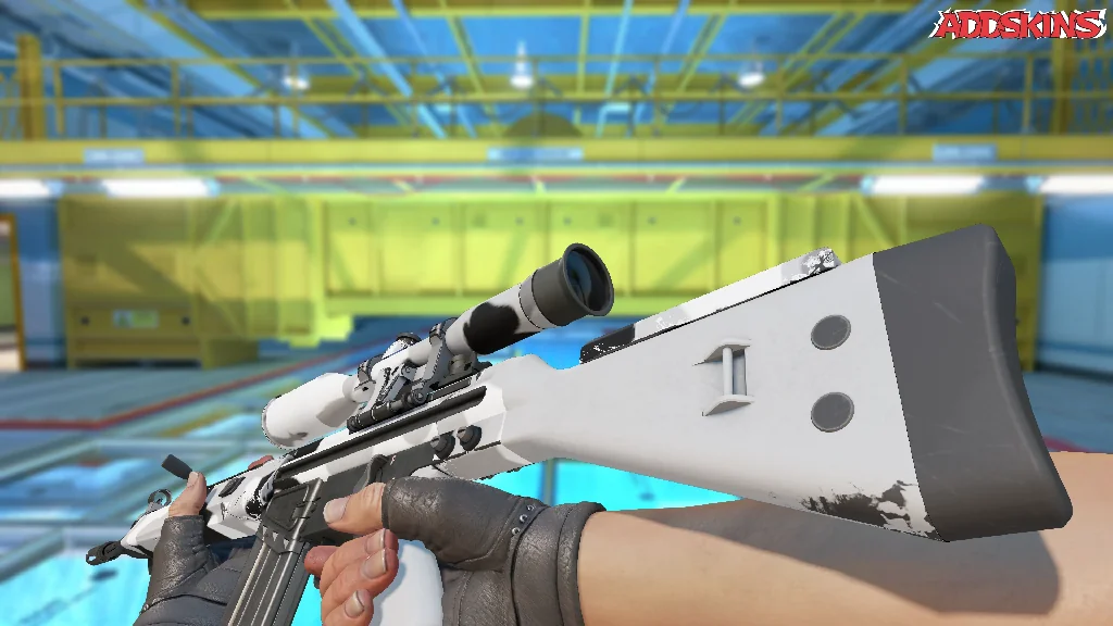 G3SG1 | Polar Camo inspecting