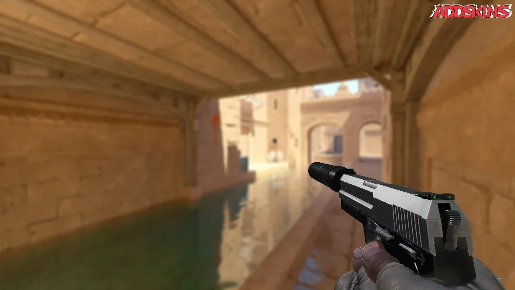 USP-S | Stainless holding