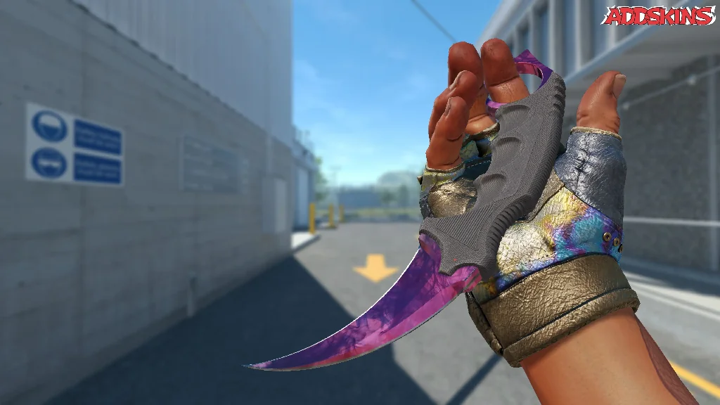 ★ Karambit | Doppler Phase 2 inspecting