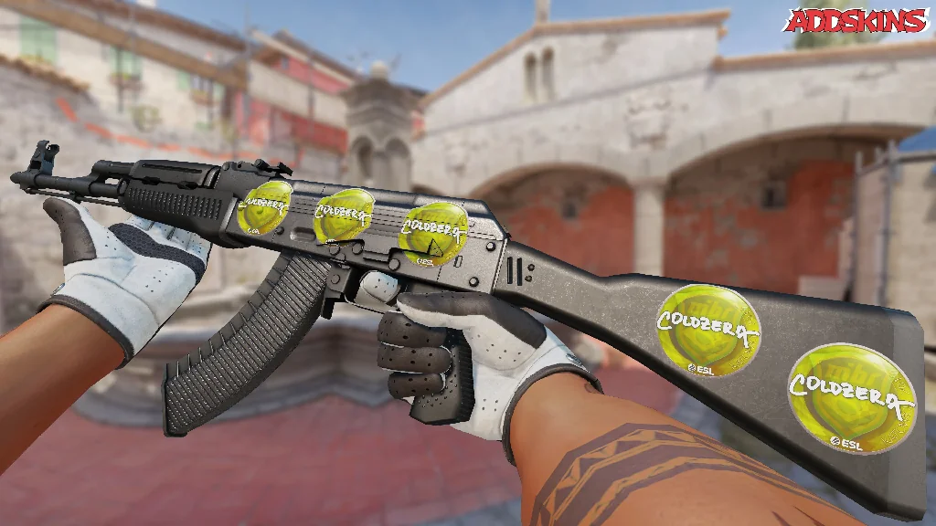 Sticker | coldzera | Katowice 2019 inspecting