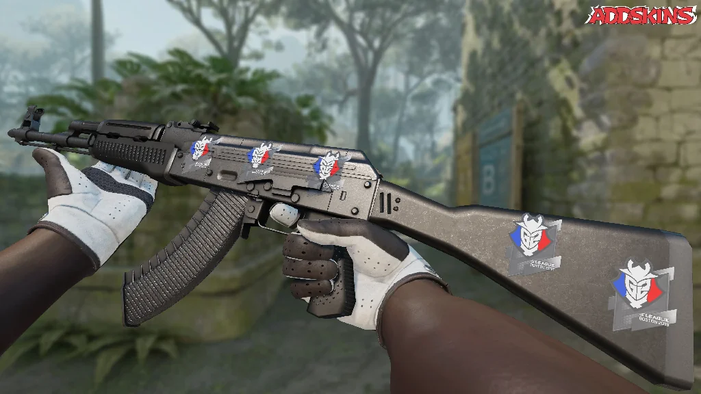 Sticker | G2 Esports | Boston 2018 inspecting