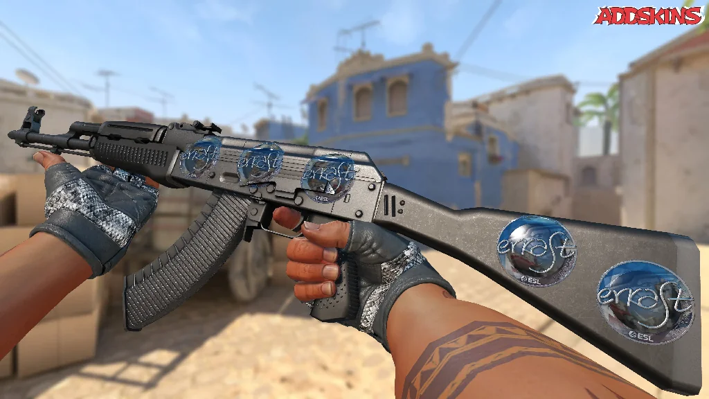 Sticker | erkaSt (Foil) | Katowice 2019 inspecting