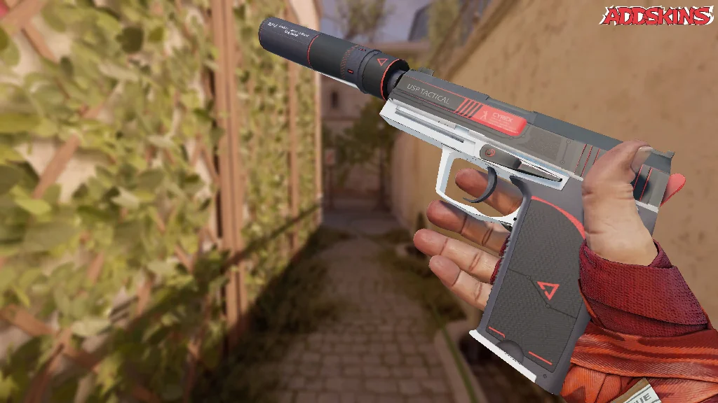 USP-S | Cyrex inspecting