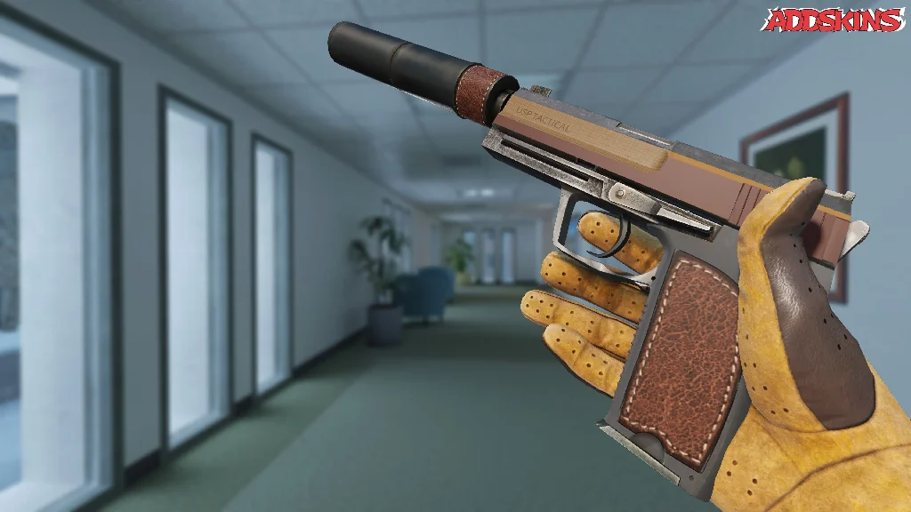 USP-S | Business Class inspecting