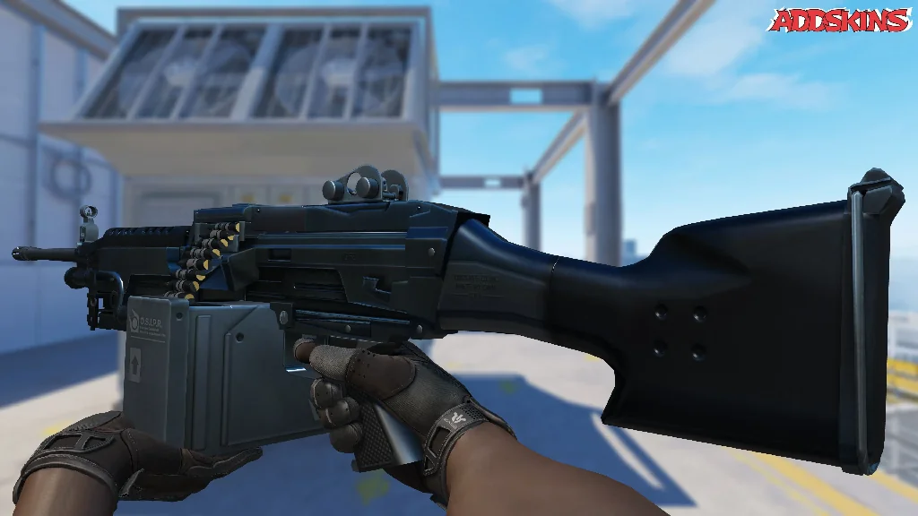 M249 | O.S.I.P.R. inspecting