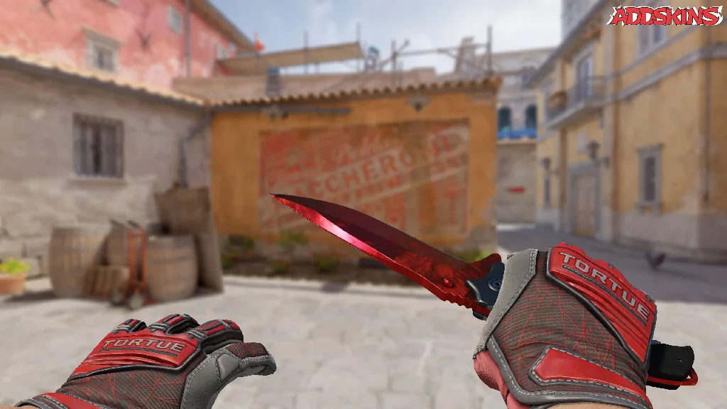 ★ Nomad Knife | Doppler Ruby holding
