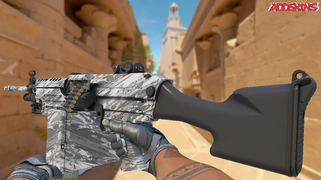 M249 | Sleet inspecting