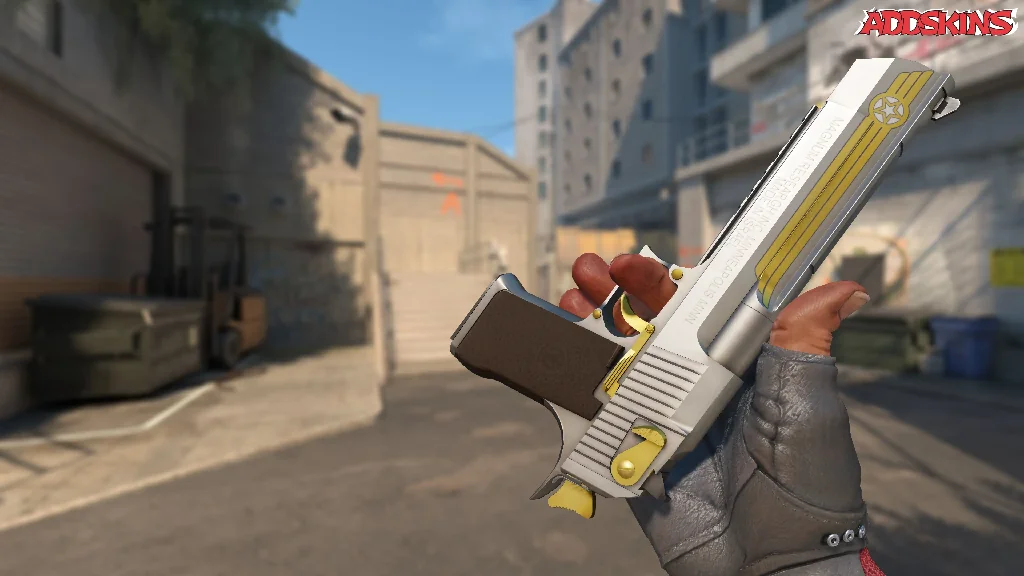 Desert Eagle | Pilot inspecting