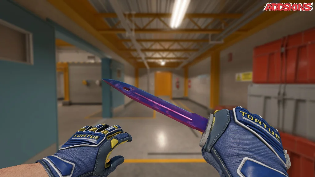 ★ Bayonet | Doppler Phase 2 holding
