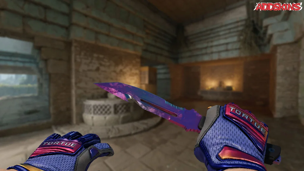 ★ Survival Knife | Doppler Phase 2 holding