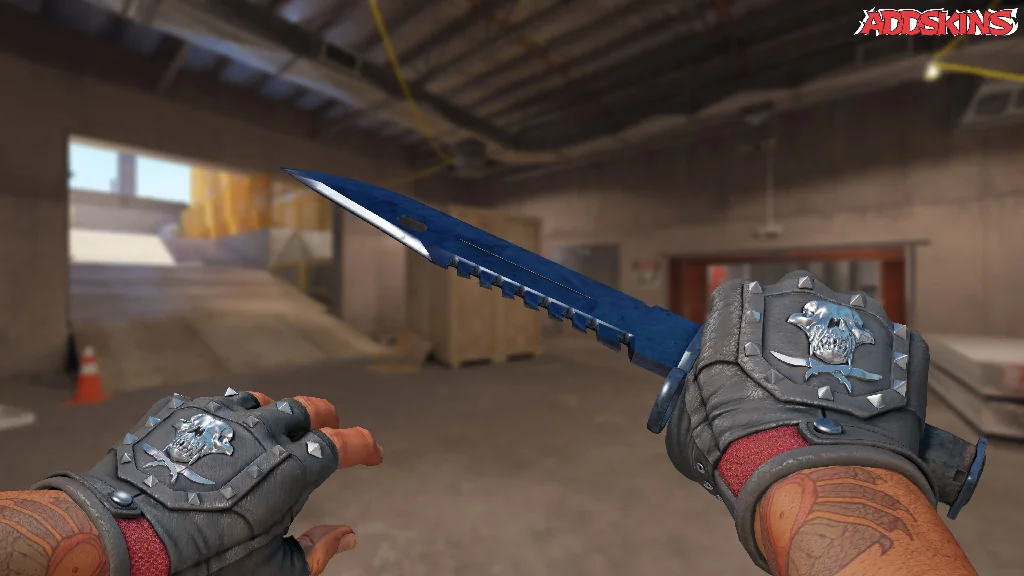 ★ M9 Bayonet | Blue Steel holding