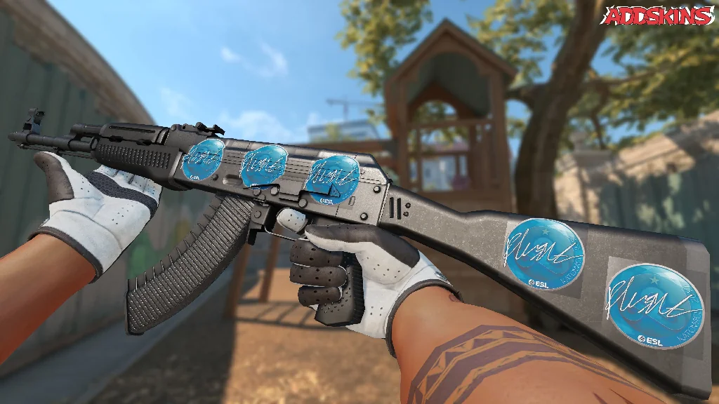 Sticker | flusha | Katowice 2019 inspecting