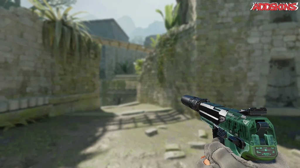 USP-S | PC-GRN holding