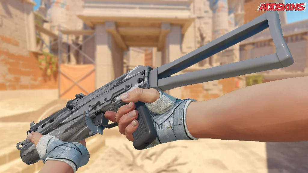 PP-Bizon | Bizoom inspecting