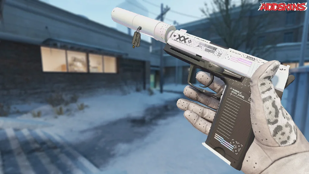 Charm | Austin 2025 Highlight | Double AWP Entry inspecting