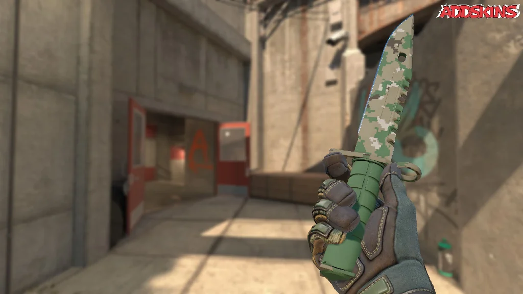 ★ M9 Bayonet | Forest DDPAT inspecting