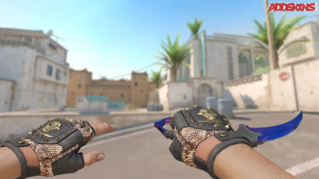 ★ Karambit | Doppler holding