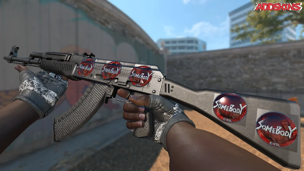 Sticker | somebody (Foil) | Katowice 2019 inspecting