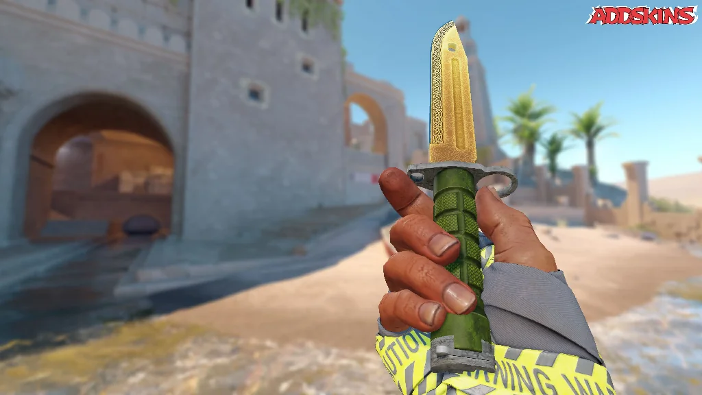 ★ Bayonet | Lore inspecting