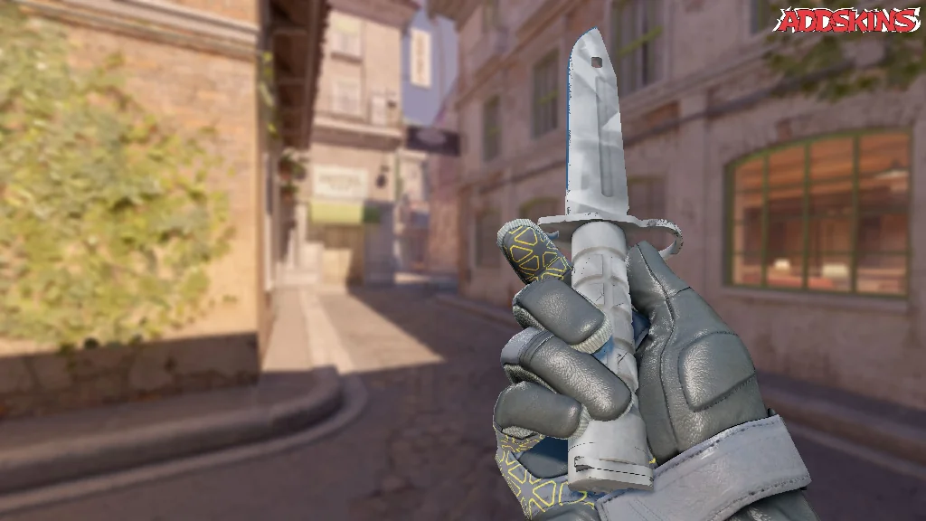 ★ Bayonet | Urban Masked inspecting