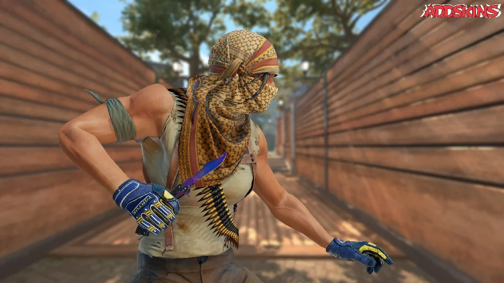 ★ Butterfly Knife | Doppler pose-3