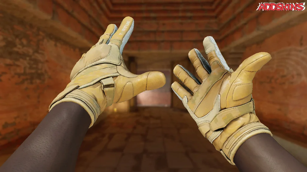 ★ Moto Gloves | Transport inspecting