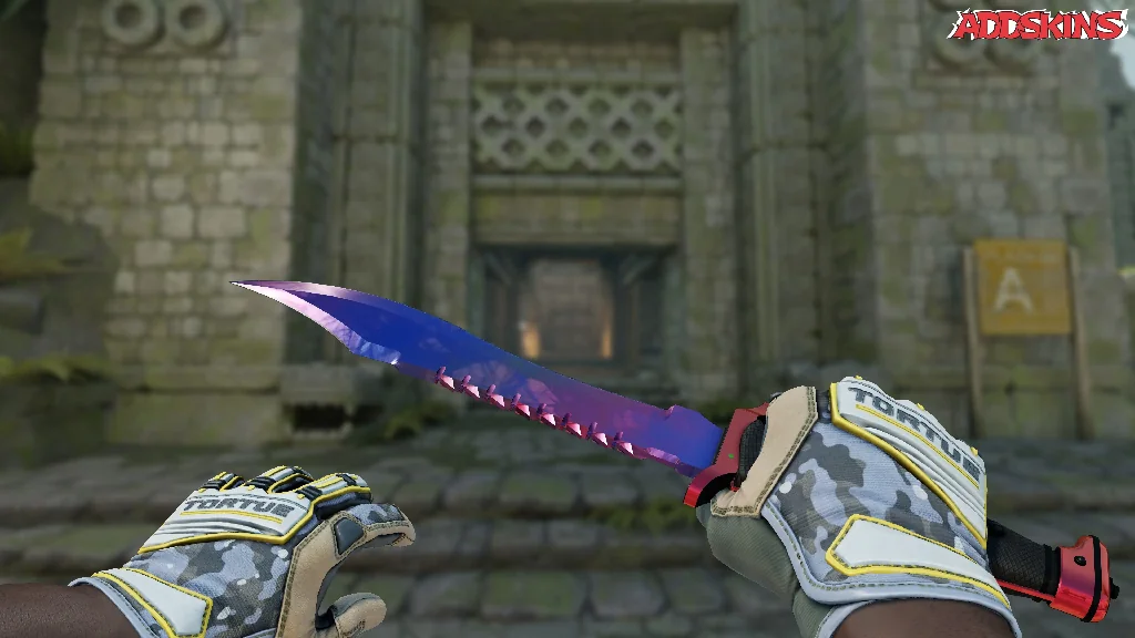 ★ Bowie Knife | Doppler holding