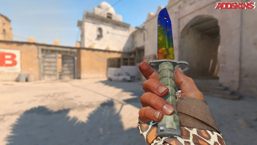 ★ Bayonet | Marble Fade inspecting