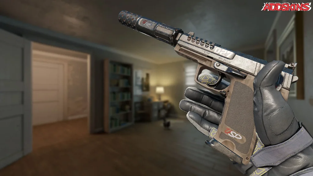 USP-S | 27 inspecting