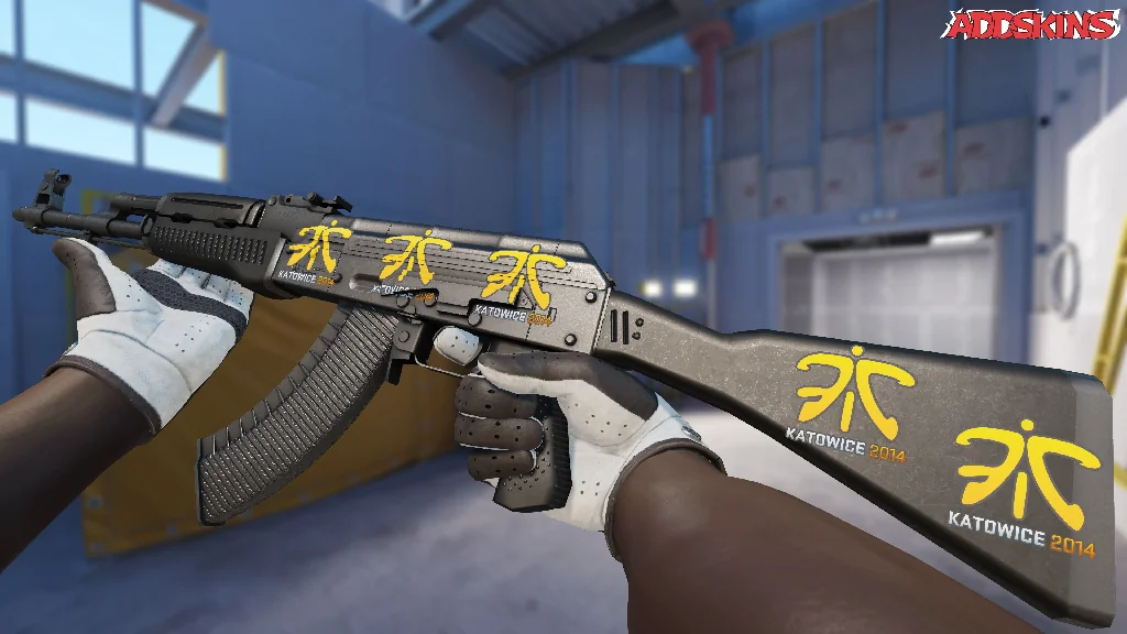 Sticker | Fnatic | Katowice 2014 inspecting