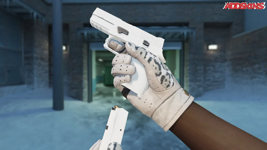 P250 | Whiteout reloading