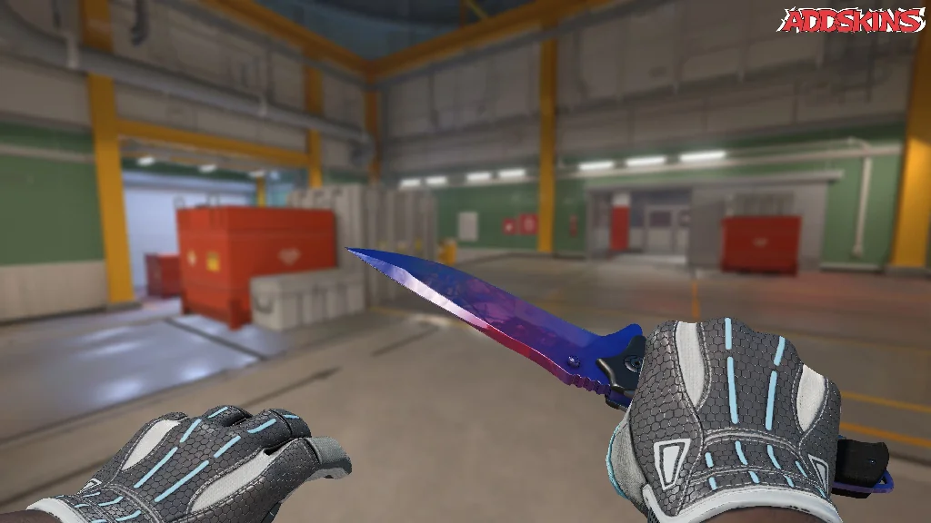 ★ Nomad Knife | Doppler Phase 1 holding