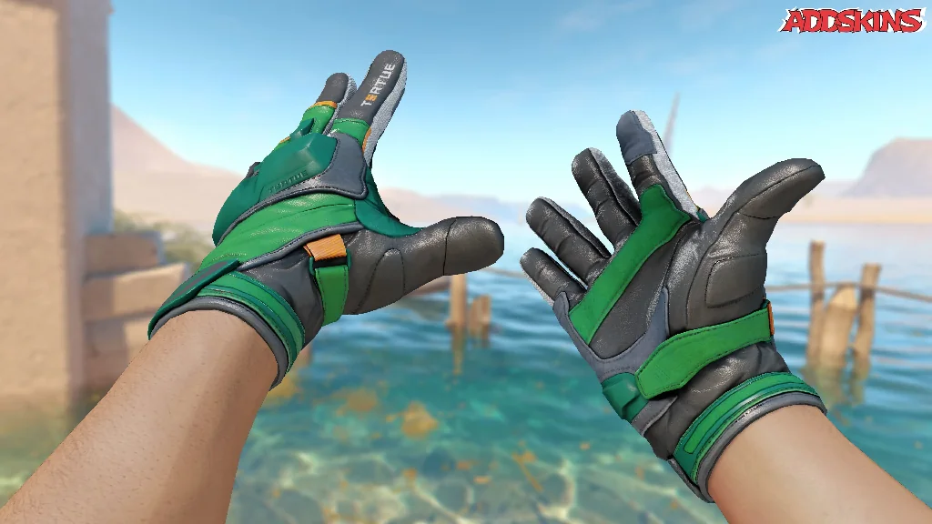 ★ Moto Gloves | Turtle inspecting