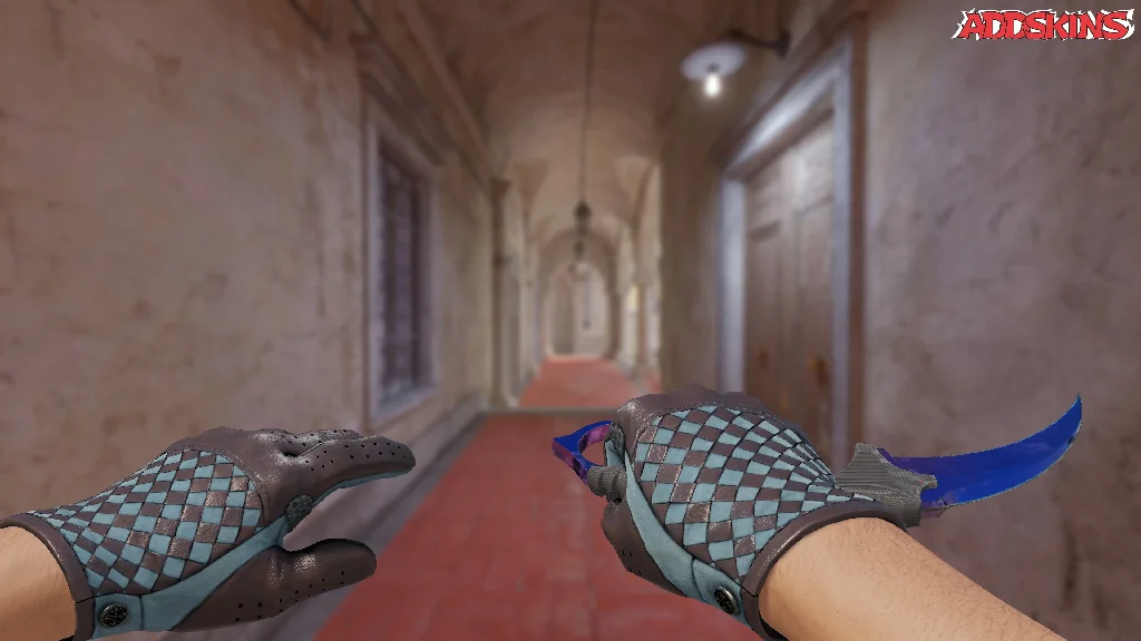 ★ Karambit | Doppler Phase 1 holding