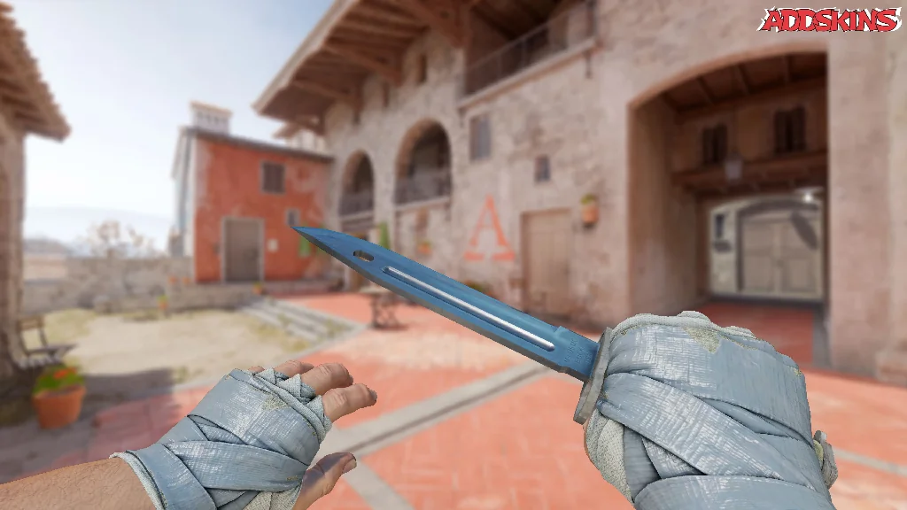 ★ Bayonet | Vanilla holding