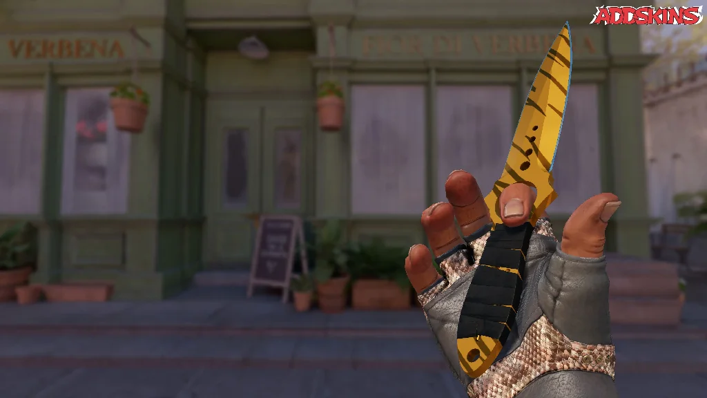 ★ Skeleton Knife | Tiger Tooth inspecting