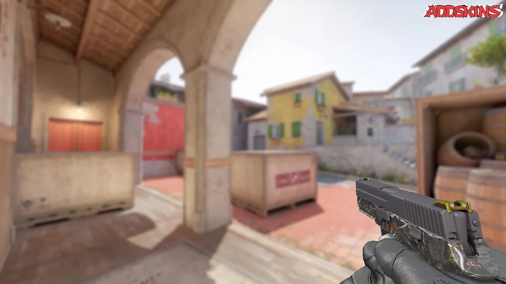 P250 | Small Game holding