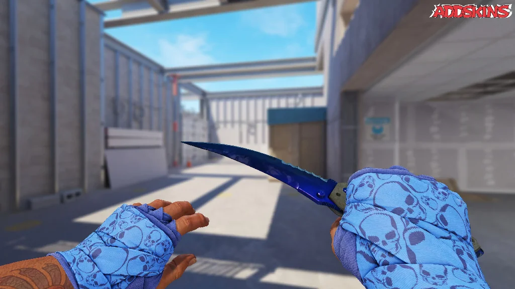 ★ Flip Knife | Doppler Phase 3 holding