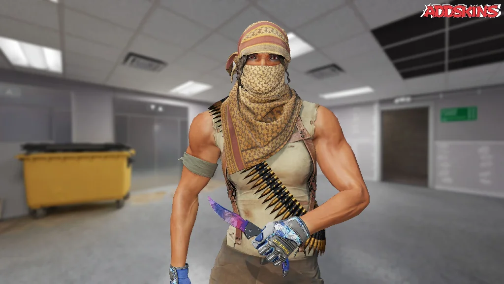 ★ Falchion Knife | Doppler Phase 1 pose-1