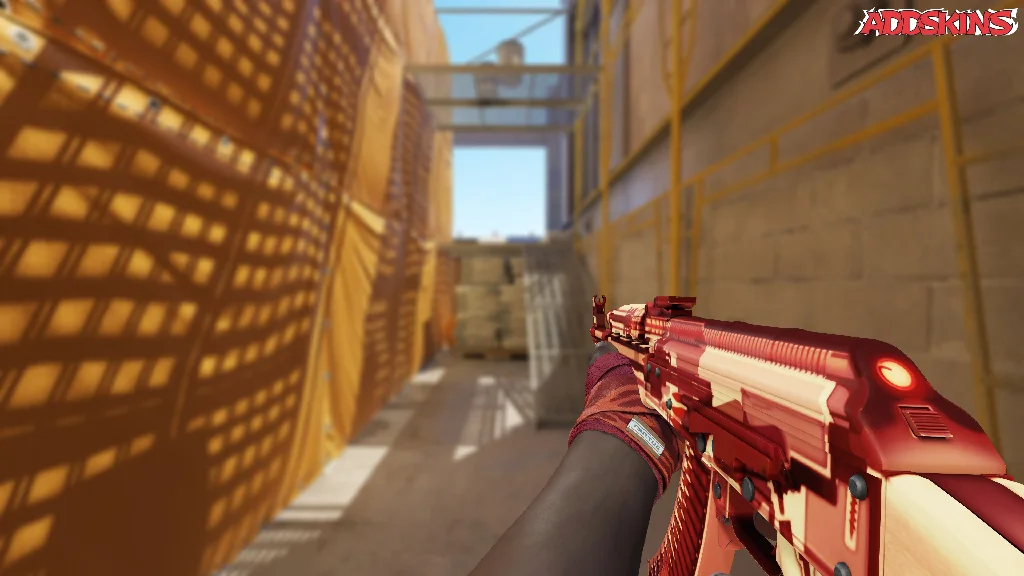 AK-47 | X-Ray holding