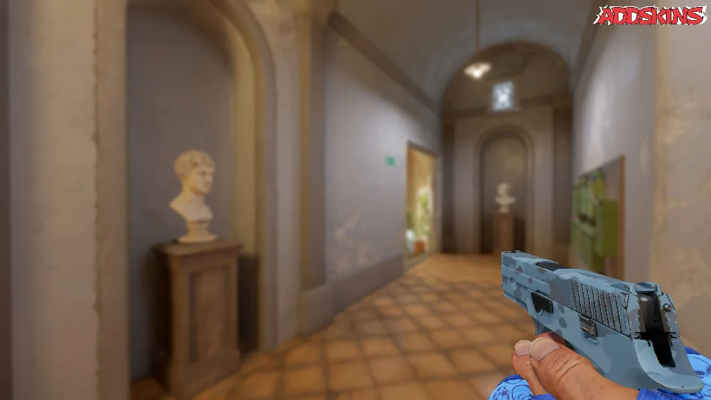P250 | Forest Night holding
