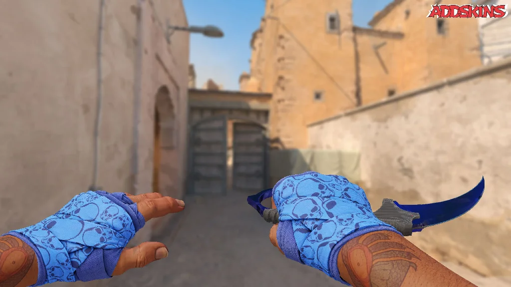 ★ Karambit | Doppler Phase 4 holding